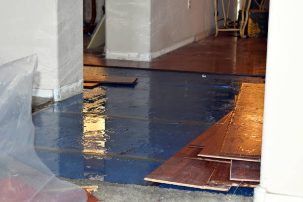 Professional Basement Flood Cleanup technician working in Croton, OH